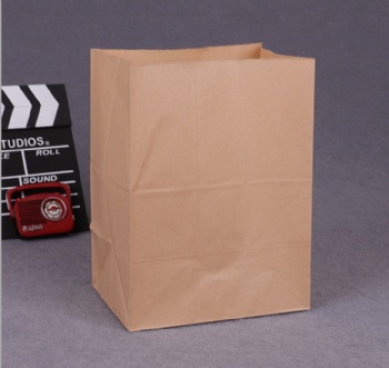 Craft Paper Take-Away Food Bag